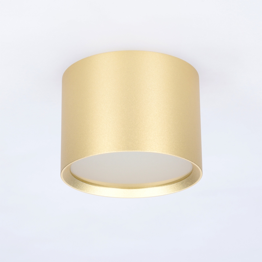 BRILAGI - LED Vannitoa suunavalgusti SMOOTH 1xGX53/15W/230V 60x82 mm kuldne IP54