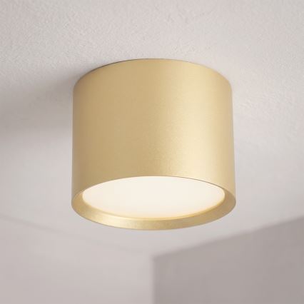 BRILAGI - LED Vannitoa suunavalgusti SMOOTH 1xGX53/15W/230V 60x82 mm kuldne IP54