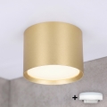 BRILAGI - LED Vannitoa suunavalgusti SMOOTH 1xGX53/15W/230V 60x82 mm kuldne IP54