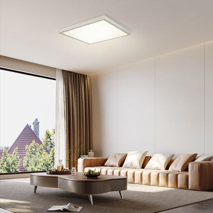 Brilagi - LED vannitoa laelamp FRAME LED/50W/230V 3000/4000/6000K 60x60 cm IP44 hõbedane