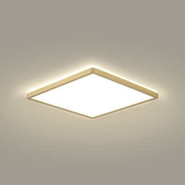 Brilagi - LED vannitoa valgusti ULTRA SLIM LED/24W/230V 42x42 cm kuldne IP54