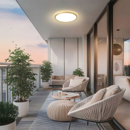 Brilagi - Üliõhuke vannitoa LED-laelamp 24W/230V, läbimõõt 42 cm, kuldne, IP54