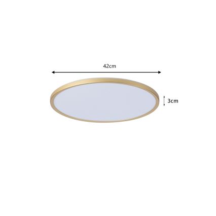 Brilagi - Üliõhuke vannitoa LED-laelamp 24W/230V, läbimõõt 42 cm, kuldne, IP54