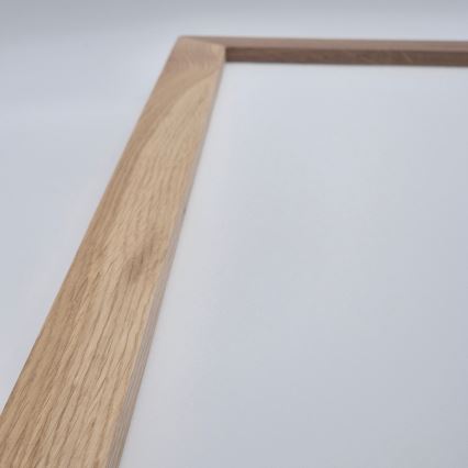 Brilagi - LED Laepvalgustus WOODY FRAME LED/40W/230V 120x30 cm IP44 tamm