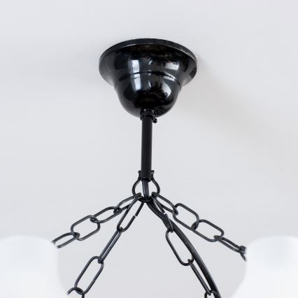 Brilagi - Lühter QUEEN 8xE14/40W/230V pöök/pähkel