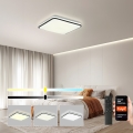 Brilagi - nutikas hämardatav LED-laelamp 24W/230V 43x43 cm 3000-6000K Wi-Fi Tuya Beacon + kaugjuhtimispult