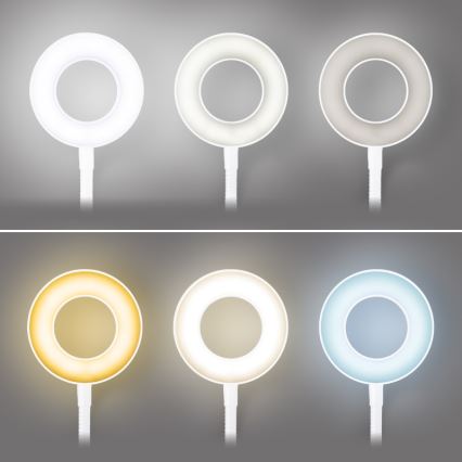 Brilagi - ORBELA hämardatav LED-lamp klambriga LED/8W/5V 3000/4000/5000K valge