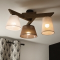 Brilagi - Pinnale kinnitatav lühter ANTHONY 3xE14/40W/230V tamm