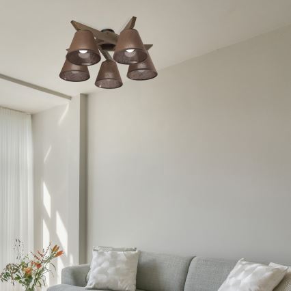 Brilagi - Pinnale kinnitatav lühter ANTHONY 5xE14/40W/230V tamm/pruun