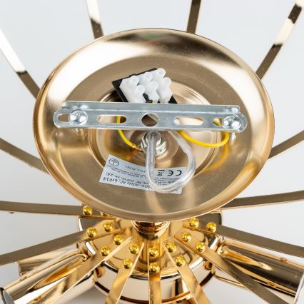 Brilagi - Pinnale kinnitatav lühter CRYSTAL 6xE14/60W/230V kuldne