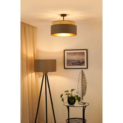 Brilagi - Pinnale kinnitatav lühter OREGON VEGE 1xE27/15W/230V d. 45 cm hall