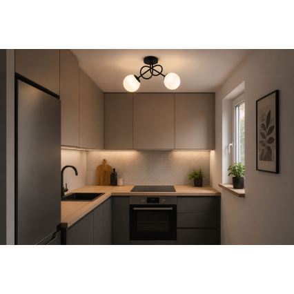 BRILAGI - Pinnapealne lühter MILO 2xE27/60W/230V must