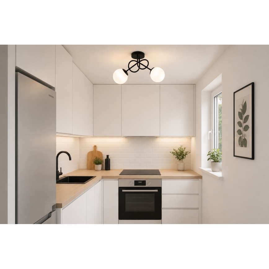 BRILAGI - Pinnapealne lühter MILO 2xE27/60W/230V must