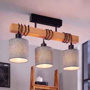 BRILAGI - Pinnapealne lühter NUBILA 3xE27/60W/230V mänd/hall