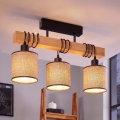 BRILAGI - Pinnapealne lühter NUBILA 3xE27/60W/230V mänd/pruun