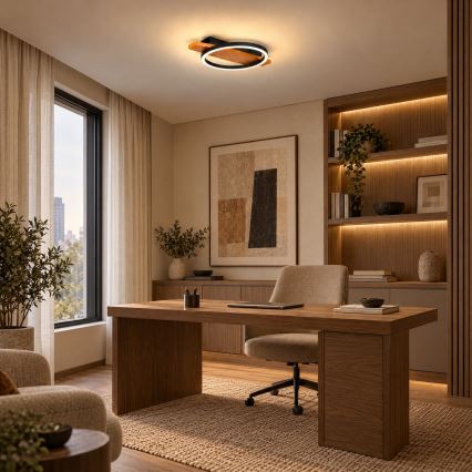 BRILAGI - PLANK LED laevalgusti 16W/230V 4000K 30x40 cm puit