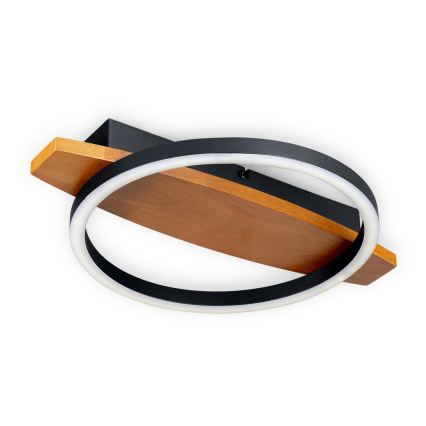 BRILAGI - PLANK LED laevalgusti 16W/230V 4000K 30x40 cm puit