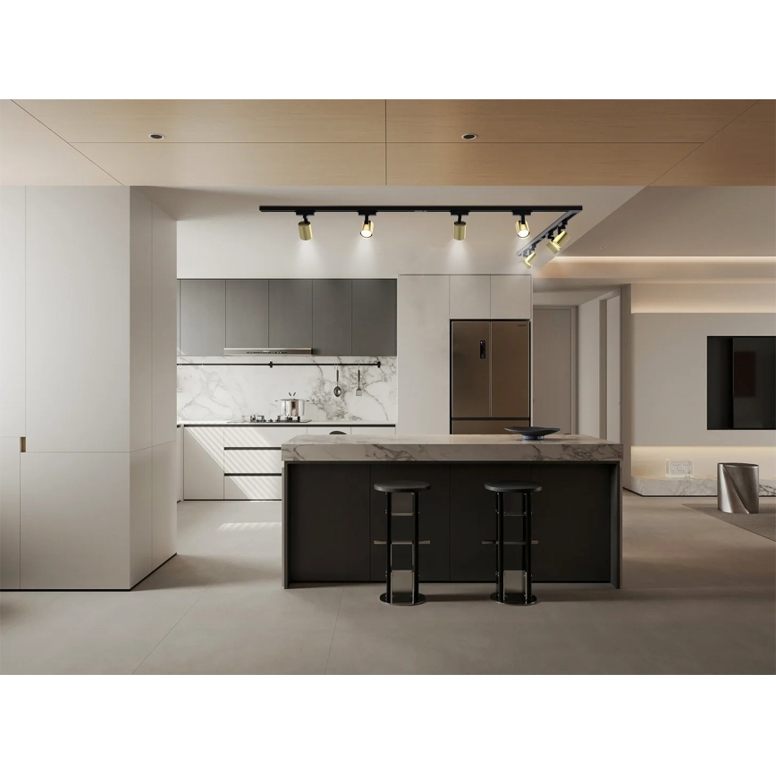 Brilagi - Punktvalgusti liistsüsteemis HUSKY 8xGU10/10W/230V must/kuldne