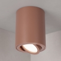 BRILAGI - Punktvalgusti MIA 1xGU10/30W/230V 100x80 mm pruun
