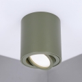 BRILAGI - Punktvalgusti MIA 1xGU10/30W/230V 84x80 mm tume roheline