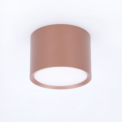 BRILAGI - Punktvalgusti SMOOTH 1xGX53/15W/230V 60x82 mm pruun