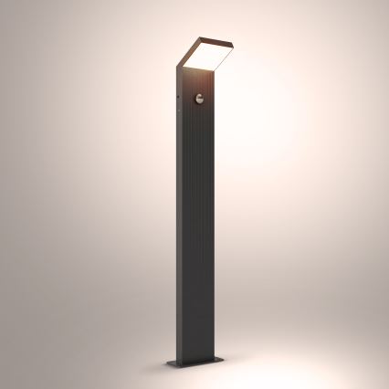 Brilagi - LED välisvalgusti liikumisanduriga RIANO LED/8W/230V antratsiit IP65