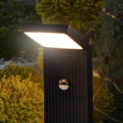 Brilagi - LED välisvalgusti liikumisanduriga RIANO LED/8W/230V antratsiit IP65