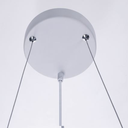 BRILAGI - Rippvalgusti kaabliga SELE 6xGU10/30W/230V valge