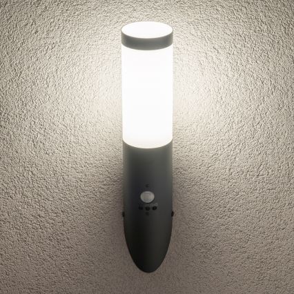 BRILAGI - Välisseinale mõeldud seinavalgusti liikumisanduriga ELIA 1xE27/20W/230V IP44 antratsiit