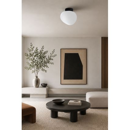 BRILAGI - Seinavalgusti PEBBLES 1xE27/40W/230V läbimõõt 20 cm must