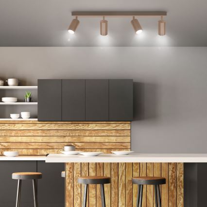 Brilagi - SELE punktvalgusti 4xGU10/30W/230V beež