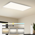 Brilagi - SLIMFRAME LED-hämardatav laelamp LED/80W/230V 120x60 cm 3000-6000K valge + kaugjuhtimispult