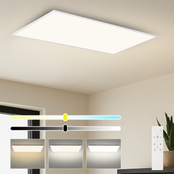 Brilagi - SLIMFRAME LED-hämardatav laelamp LED/80W/230V 120x60 cm 3000-6000K valge + kaugjuhtimispult