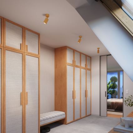 Brilagi - spottvalgusti CRESTO 1xGU10/10W/230V kuldne