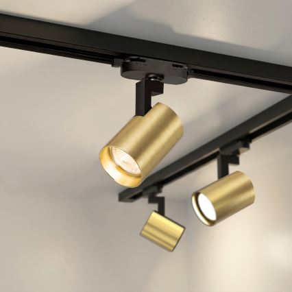 Brilagi - spottvalgusti liistsüsteemis HUSKY 6xGU10/10W/230V must/kuldne