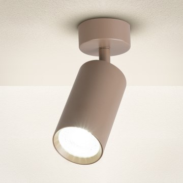 Brilagi - Spottvalgusti SELE 1xGU10/30W/230V beež