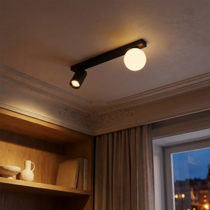 Brilagi - Spotvalgusti SELE BALL 1xGU10/30W/230V + 1xG9/10W must