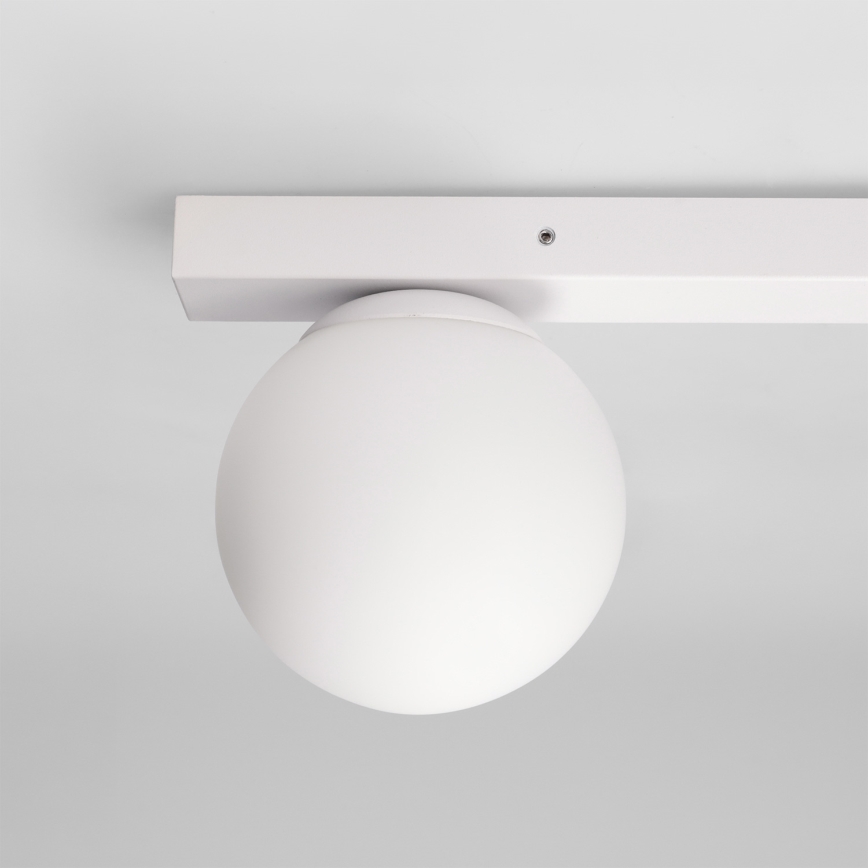 Brilagi - spotvalgusti SELE BALL 2xGU10/30W/230V + 1xG9/10W valge