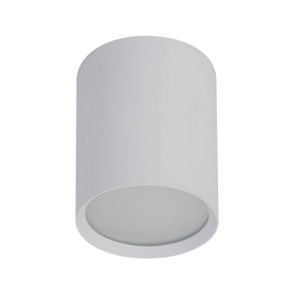 BRILAGI - spotvalgusti SMOOTH LONG 1xGX53/15W/230V 100x82 mm valge