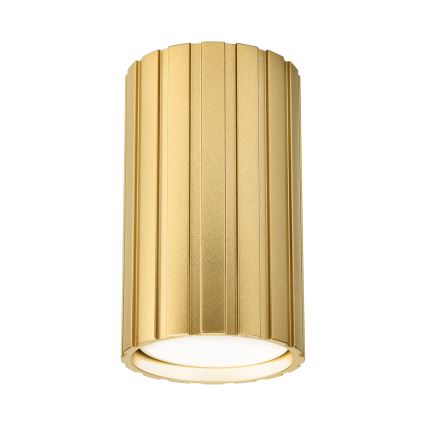 Brilagi - suunatav laevalgusti CRISPINA 1xGU10/10W/230V 10 cm kuldne