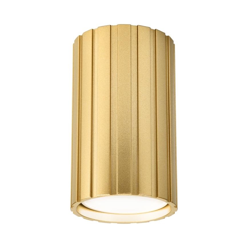 Brilagi - suunatav laevalgusti CRISPINA 1xGU10/10W/230V 10 cm kuldne