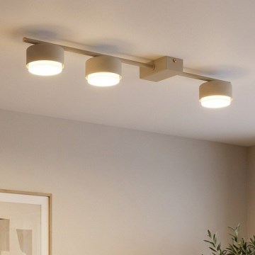 Brilagi - suunatav laevalgusti MONO 3xGX53/12W/230V beež