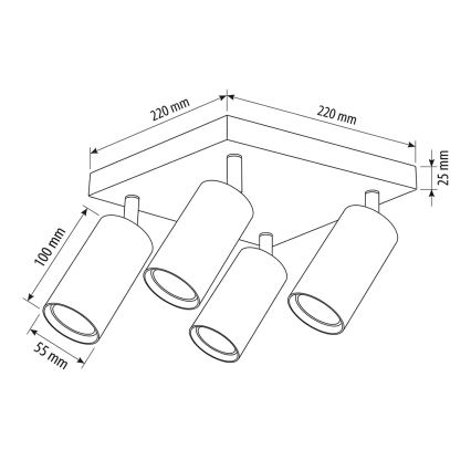 Brilagi - suunatav laevalgusti SELE SQUARE 4xGU10/30W/230V valge/tamme dekor