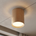 BRILAGI - Suunatav spottvalgusti SMOOTH LONG 1xGX53/15W/230V 100x82 mm tamme dekor