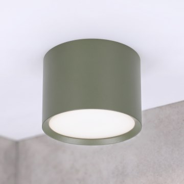 BRILAGI - Suunav valgusti SMOOTH 1xGX53/15W/230V 60x82 mm tume roheline