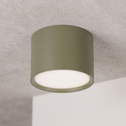 BRILAGI - Suunav valgusti SMOOTH 1xGX53/15W/230V 60x82 mm tume roheline