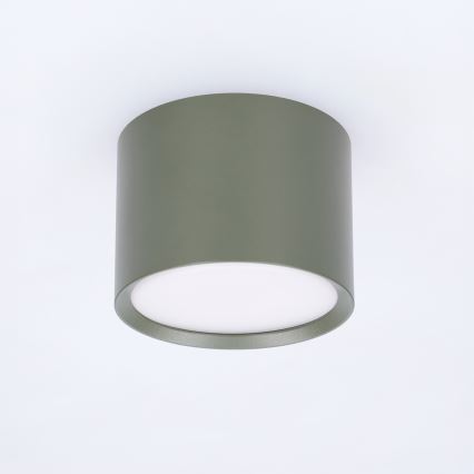 BRILAGI - Suunav valgusti SMOOTH 1xGX53/15W/230V 60x82 mm tume roheline