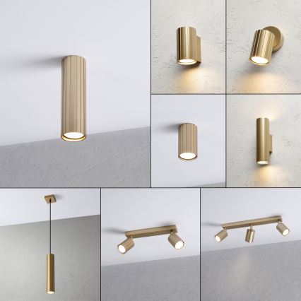 Brilagi - suunavalgusti CRISPINA 1xGU10/10W/230V 20 cm kuldne