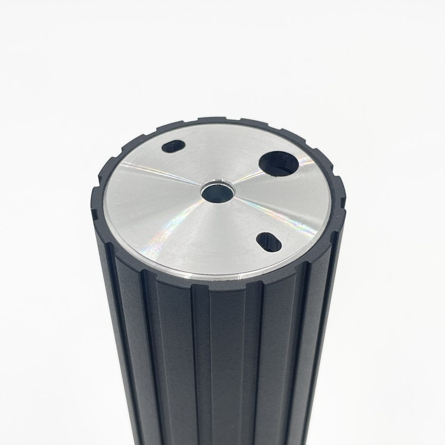 Brilagi - Suunavalgusti CRISPINA 1xGU10/10W/230V 20 cm must