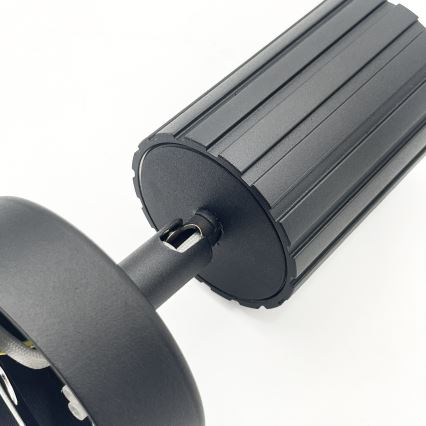 Brilagi - Suunavalgusti CRISPINA 1xGU10/10W/230V must